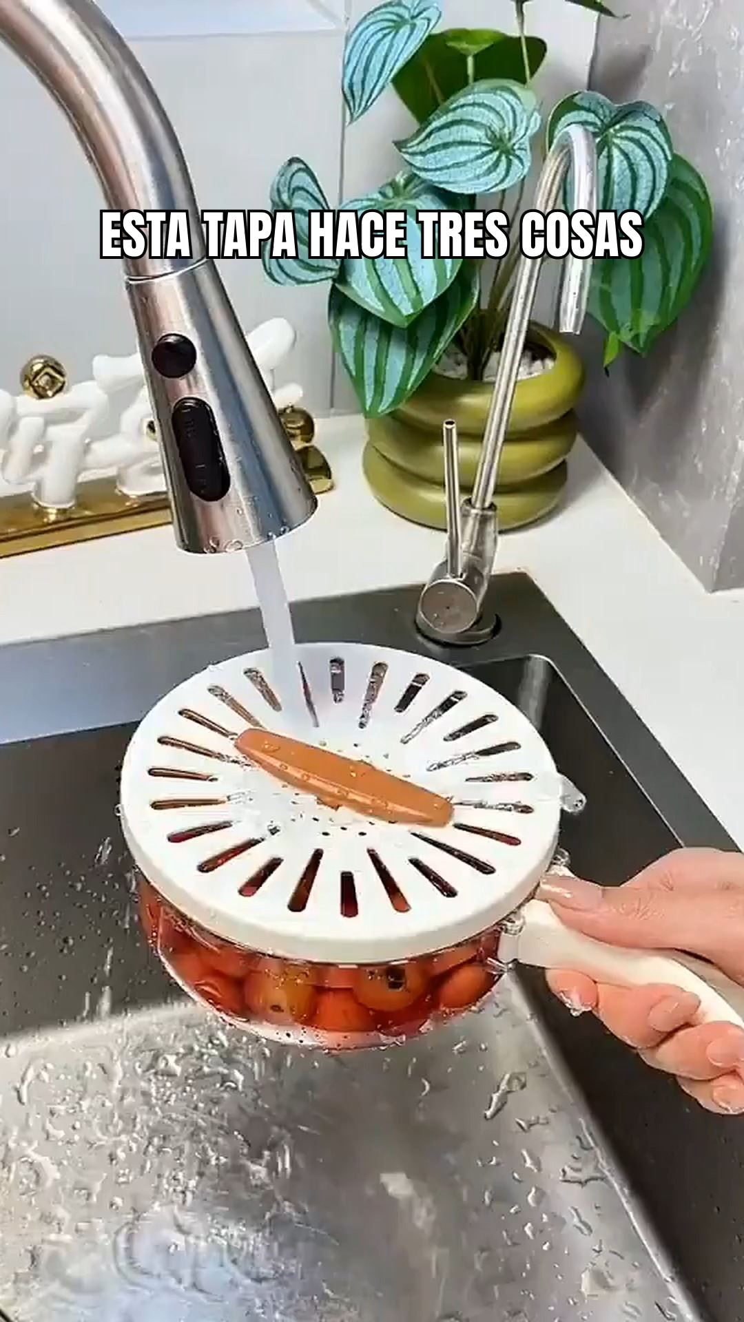 Escurridor de Frutas y Verduras