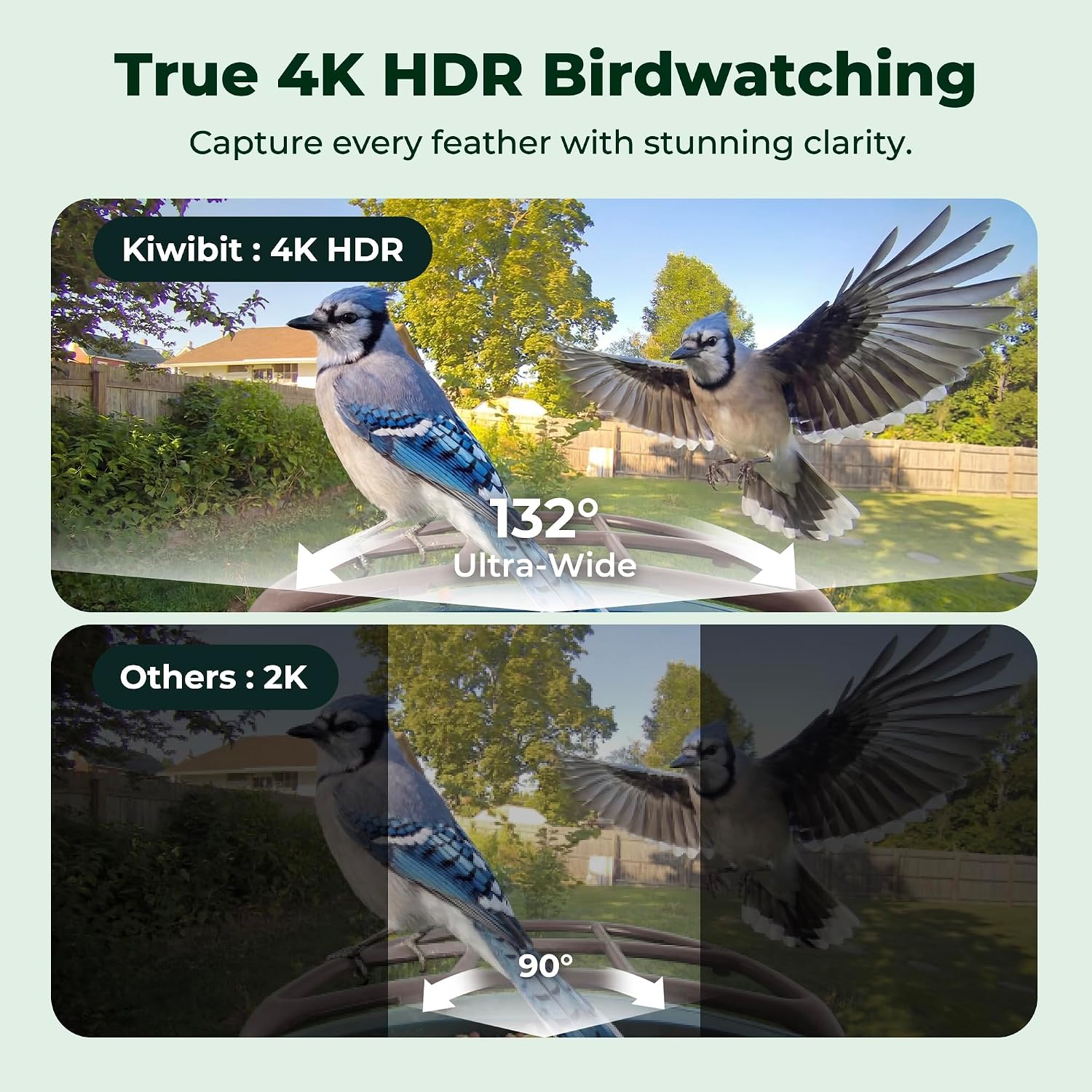 Kiwibit Beako Smart Bird Feeder con cámara 4K