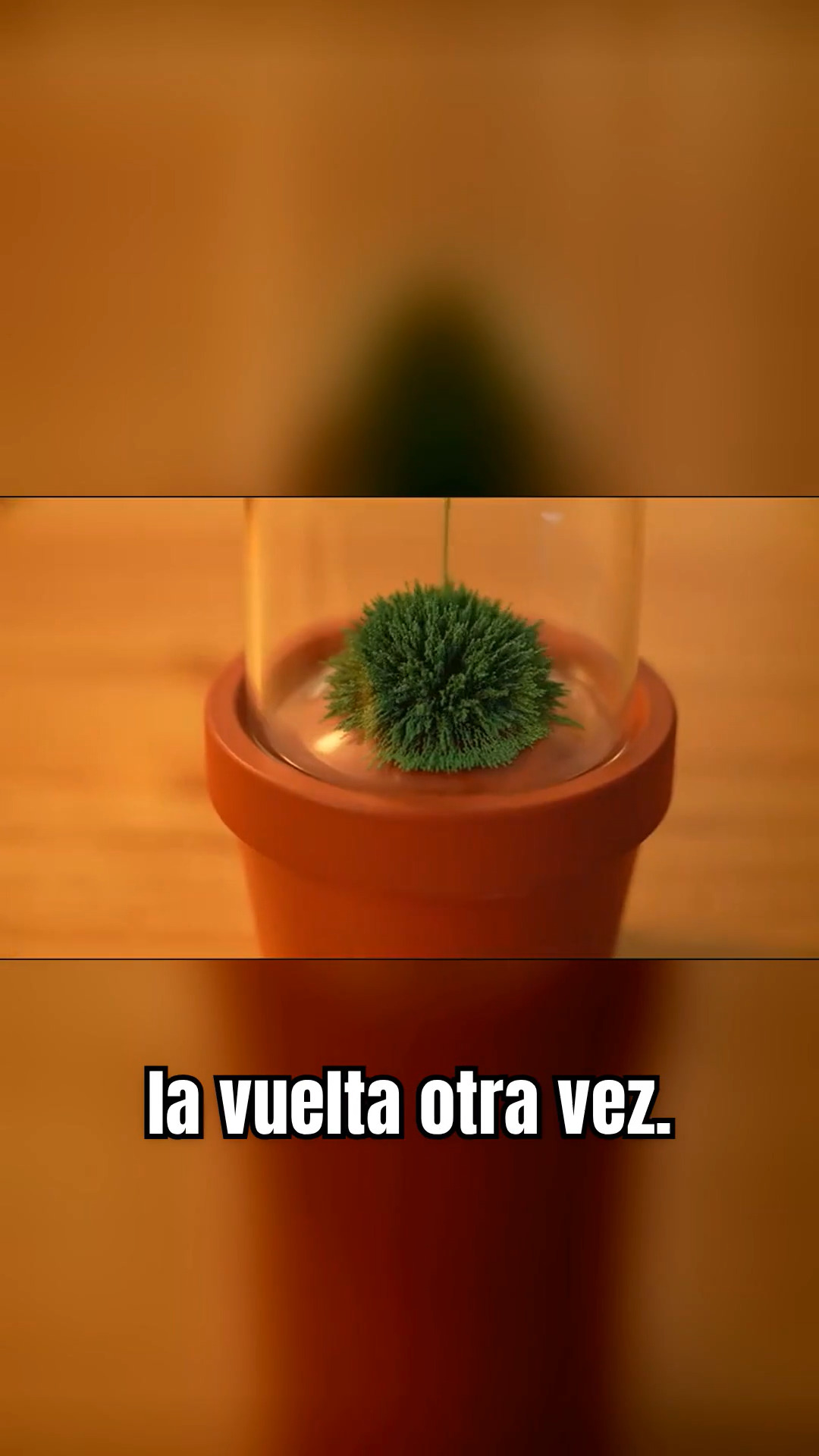 ¡ADIVINA EL PRECIO de este Reloj de Arena Magnético, Adorno Creativo en Maceta,  Reloj de Arena Magnético!!!
